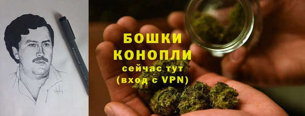 apvp Арсеньев