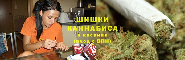 амф Аркадак