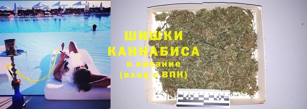 амф Аркадак