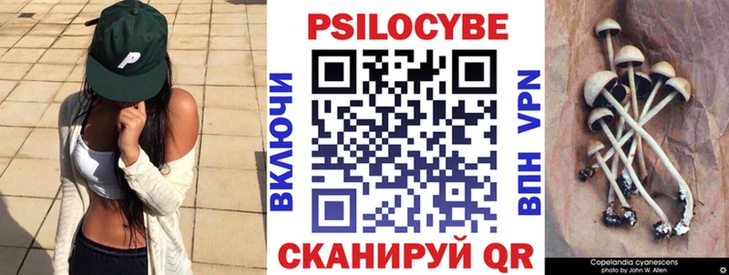 Псилоцибиновые грибы Psilocybine cubensis  мориарти телеграм  Сокол 